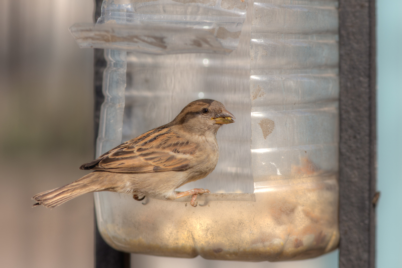 household appliances